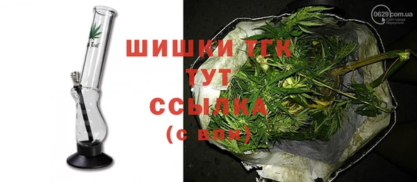 дживик Богородицк