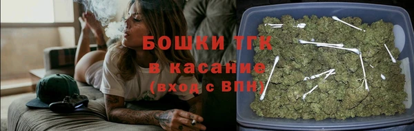 apvp Богданович