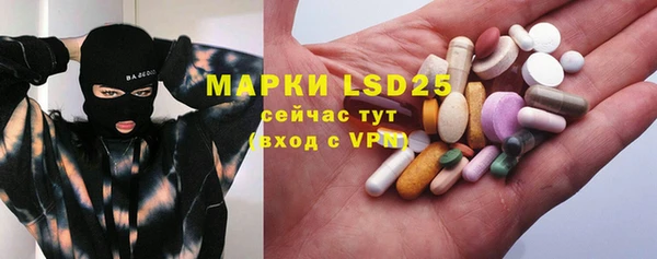 apvp Богданович