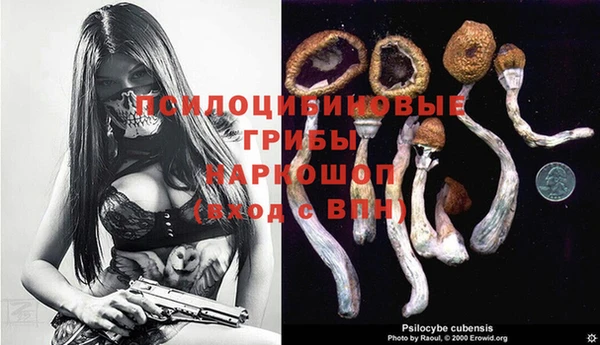 дживик Богородицк