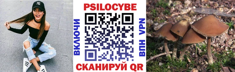 купить закладку  Балахна  Псилоцибиновые грибы GOLDEN TEACHER 
